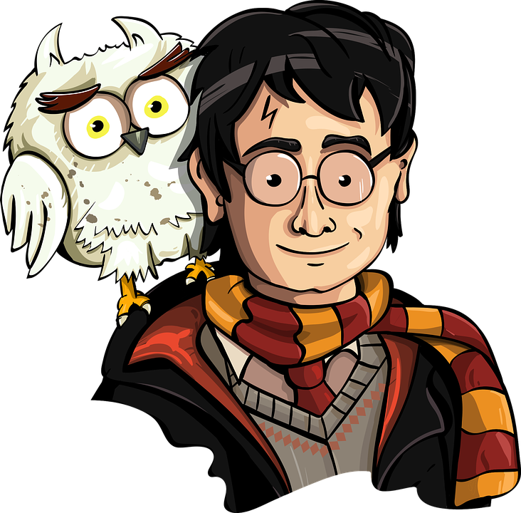 Detail Harry Potter Hedwig Eule Nomer 14