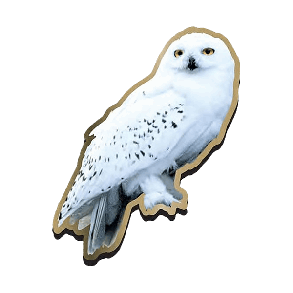 Detail Harry Potter Hedwig Eule Nomer 5