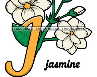 Detail Jasmine Blume Nomer 9