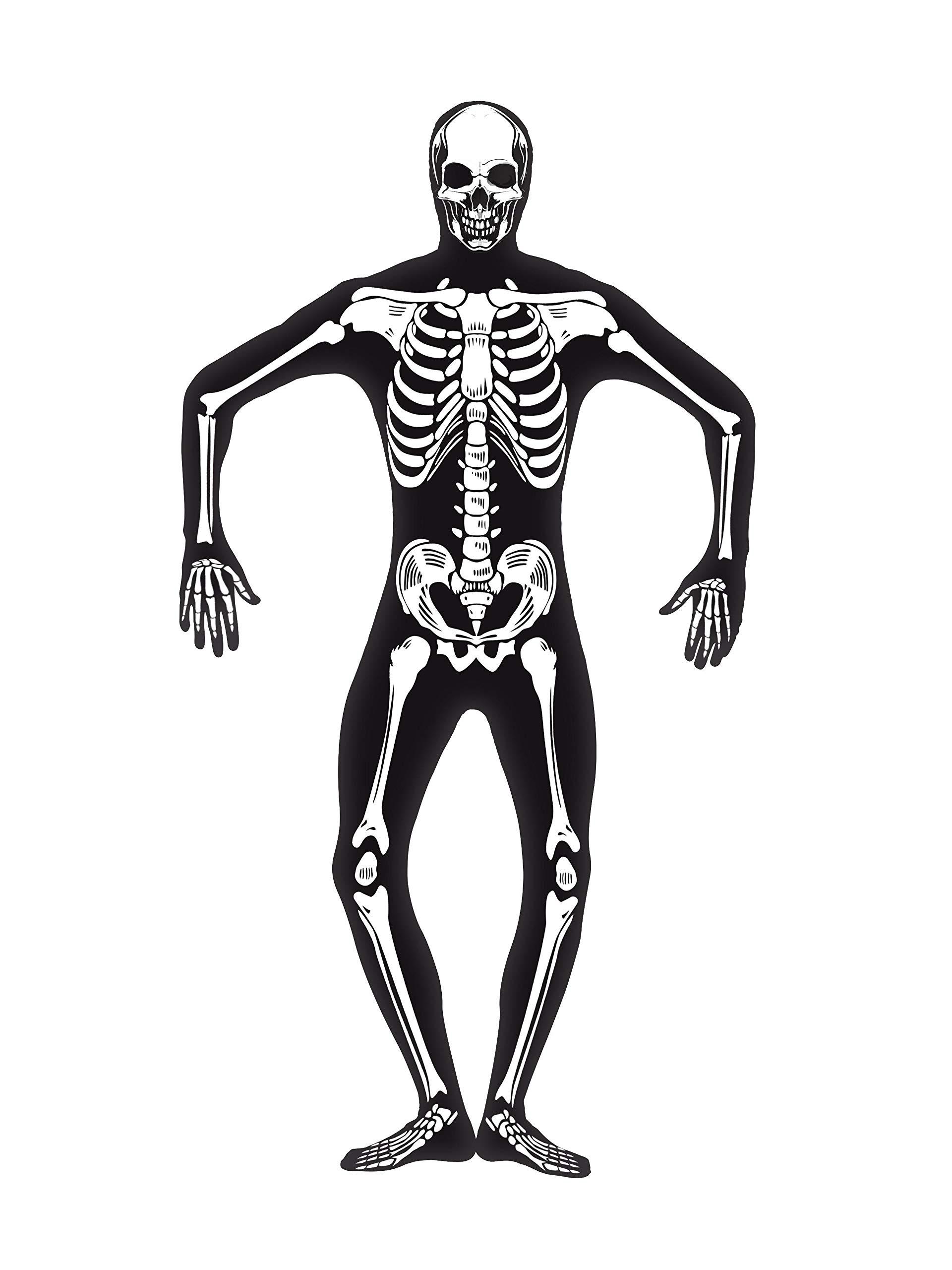 Detail Skelett Mensch Hinten Nomer 18