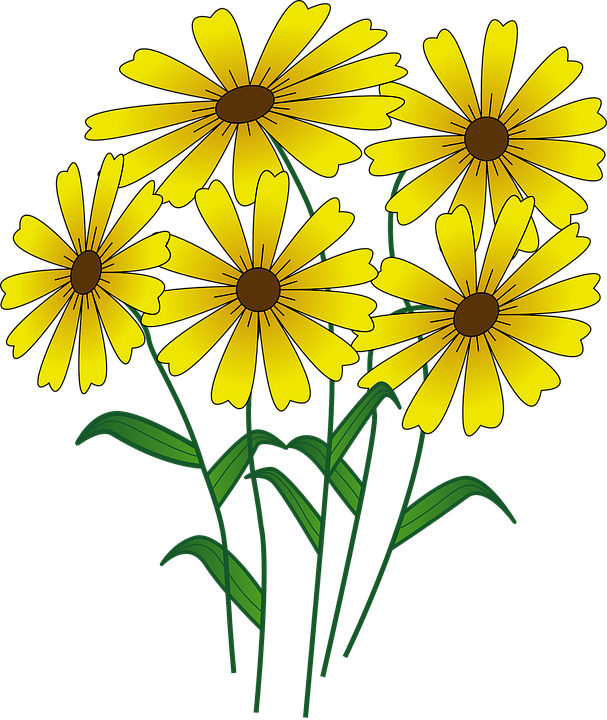 Detail Daisy Blumen Nomer 21