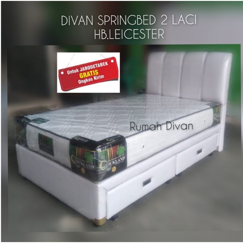 Detail Gambar Dipan Springbed Nomer 25