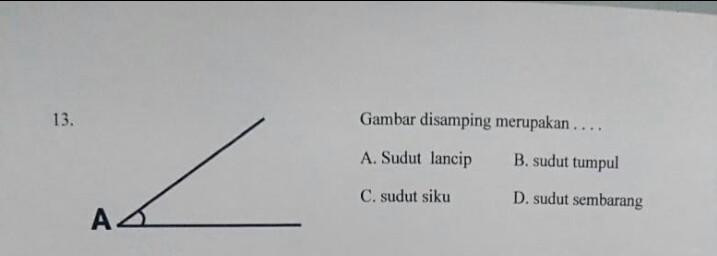 Gambar Disamping Merupakan - KibrisPDR