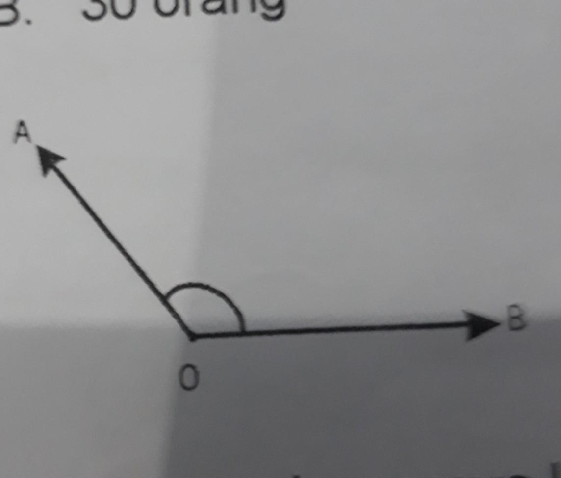 Detail Gambar Disamping Merupakan Nomer 2