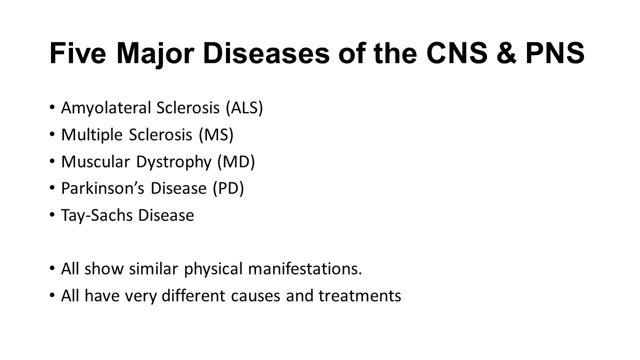 Detail Gambar Disease In Pns Nomer 23