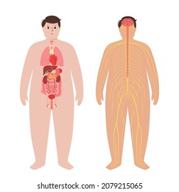 Detail Gambar Disease In Pns Nomer 39