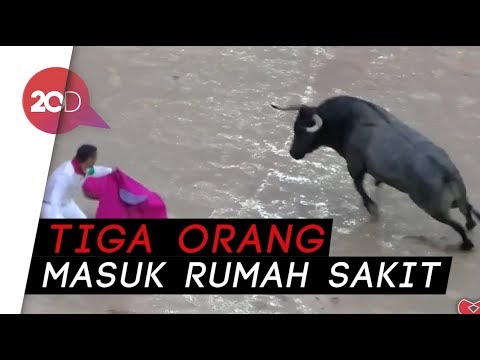 Detail Gambar Ditanduk Sapi Gambar Lucu Nomer 28