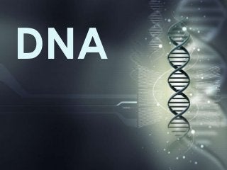 Detail Gambar Dna Dan Rna Nomer 18