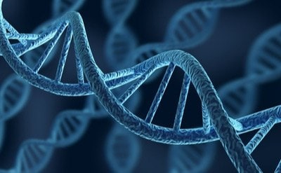 Detail Gambar Dna Dan Rna Nomer 41