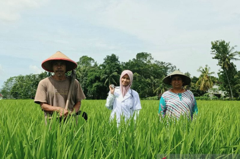 Gambar Dokter Gambar Petani - KibrisPDR