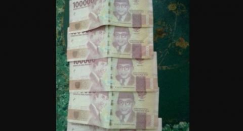 Detail Gambar Dolar Karung Nomer 29