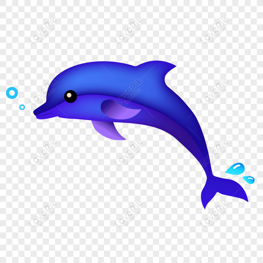 Detail Gambar Dolphin Lucu Nomer 28