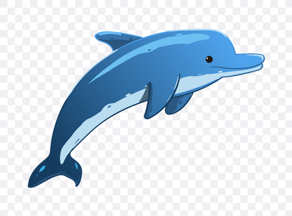 Detail Gambar Dolphin Lucu Nomer 32