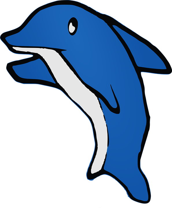 Detail Gambar Dolphin Lucu Nomer 38
