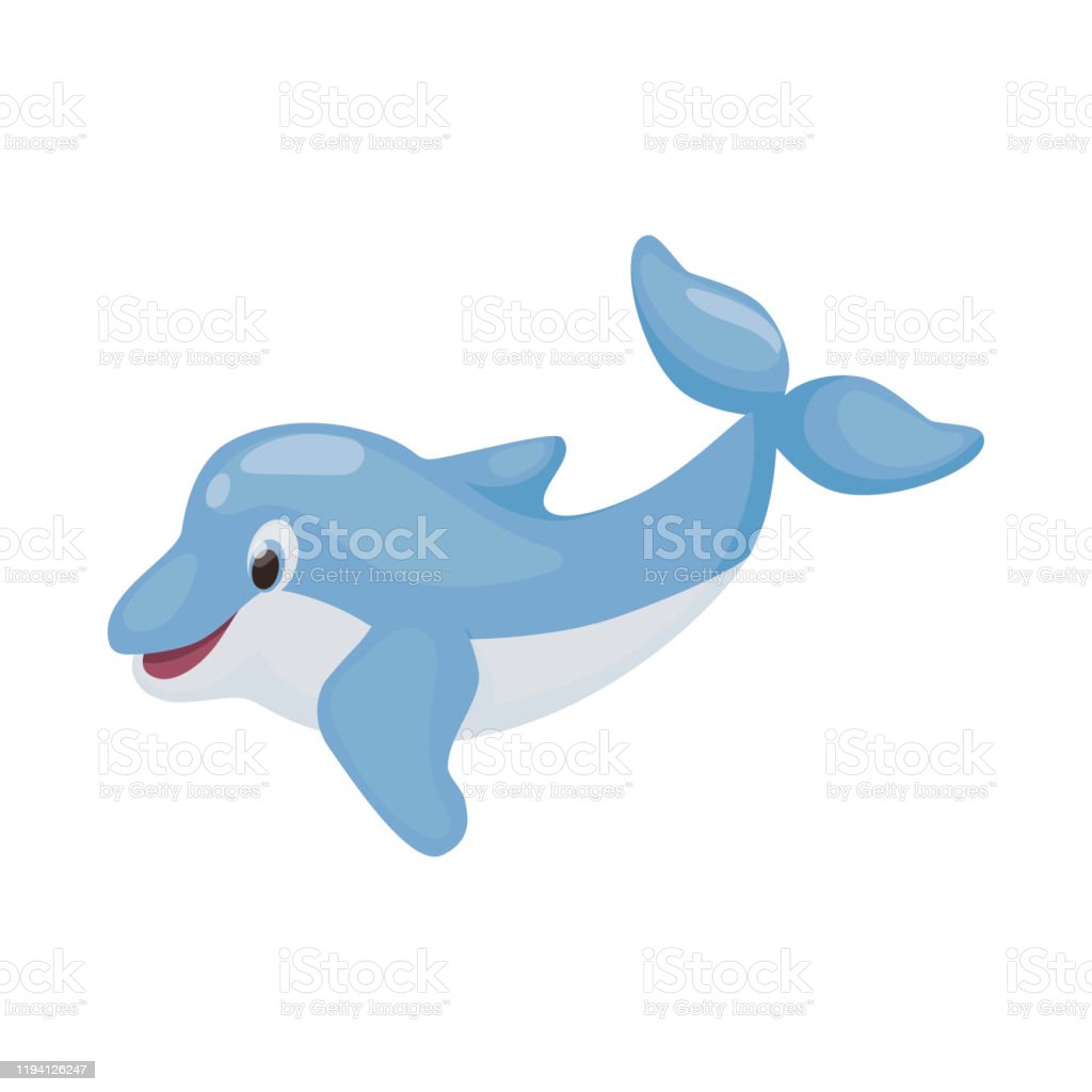 Detail Gambar Dolphin Lucu Nomer 39