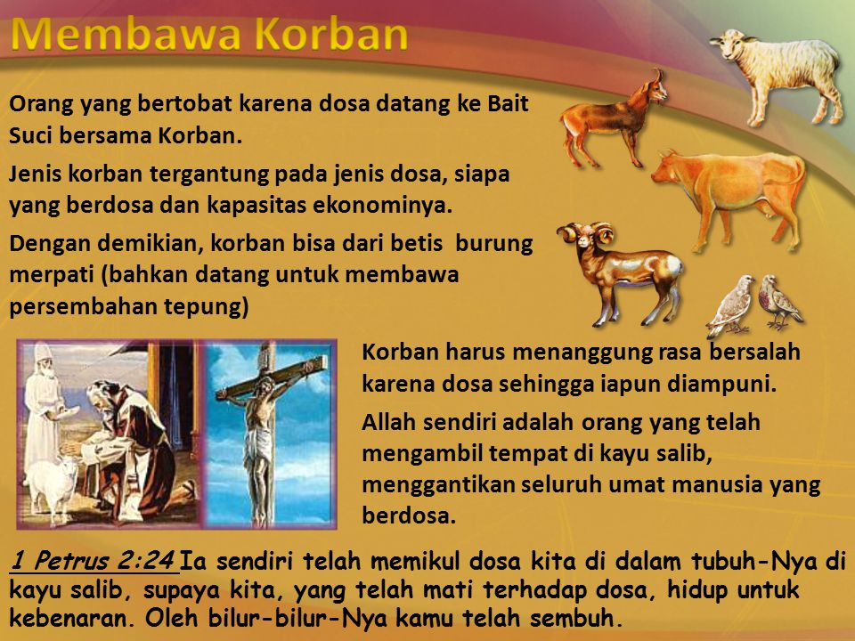 Detail Gambar Domba Korban Dalam Pl Nomer 30