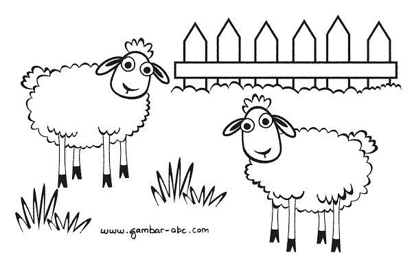 Detail Gambar Domba Untuk Mewarnai Nomer 14