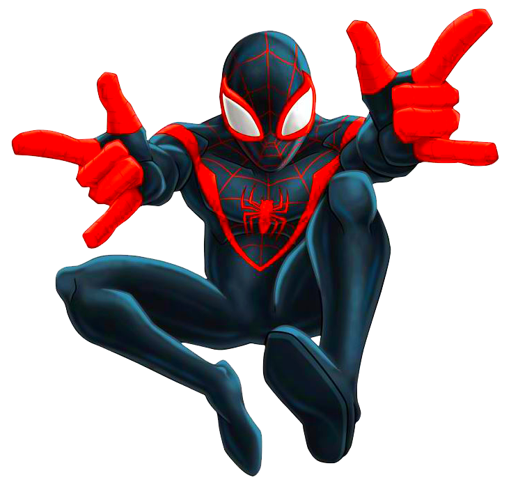 Schwarzer Spiderman - KibrisPDR