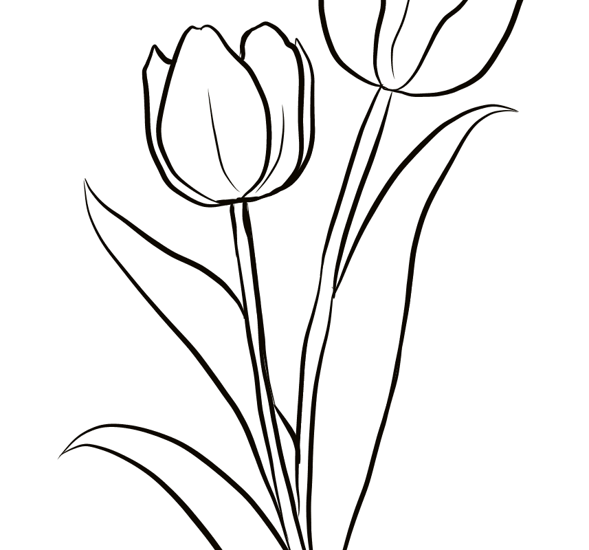 Detail Tulip Clipart Black And White Nomer 6