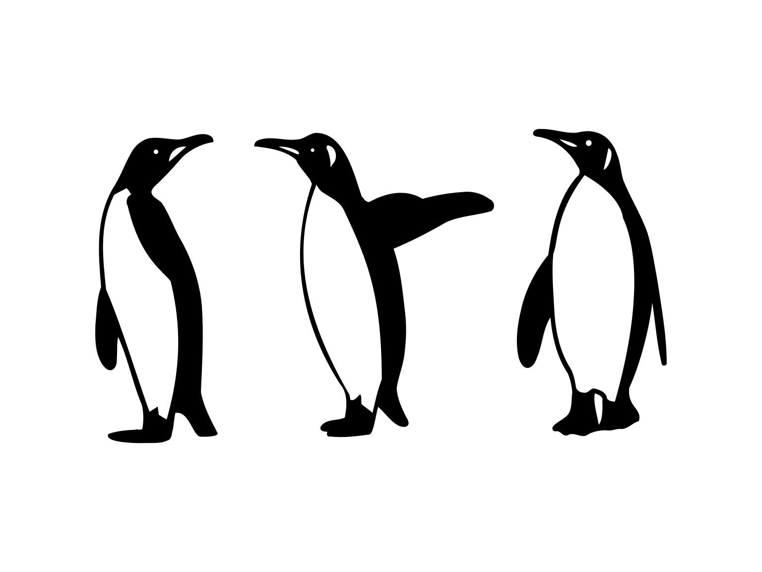 Detail Clipart Pinguin Nomer 18