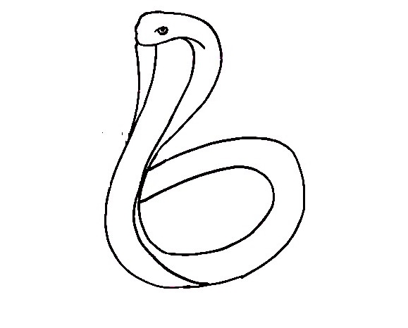 Detail Cobra Zeichnen Nomer 9