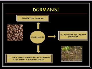 Detail Gambar Dormansi Gambar Dormansi Pada Biji Nomer 7