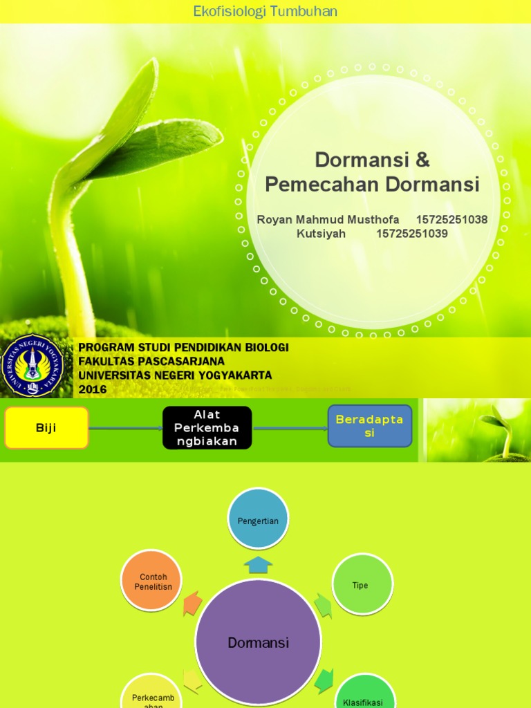 Detail Gambar Dormansi Gambar Proses Perkecambahan Nomer 36