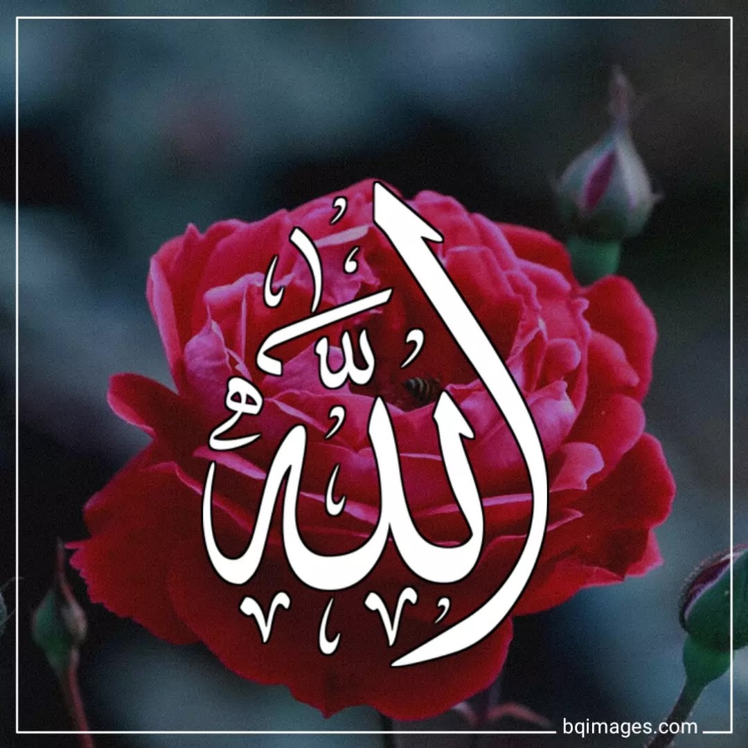 Detail Gambar Dp Allah Nomer 15