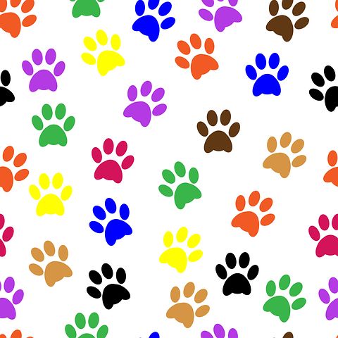 Detail Pfotenabdruck Katze Nomer 13