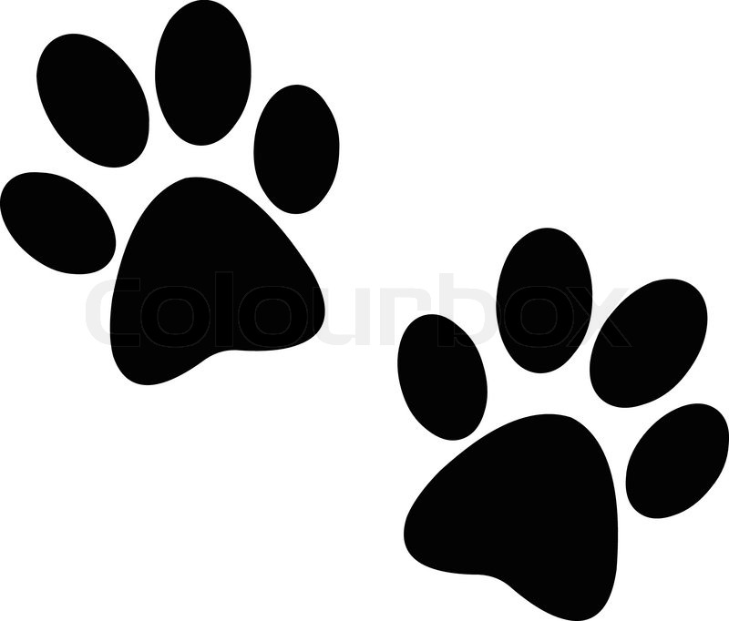 Detail Pfotenabdruck Katze Nomer 15