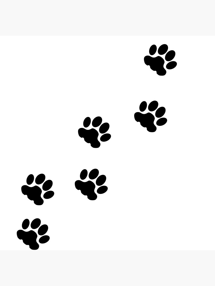 Detail Pfotenabdruck Katze Nomer 17