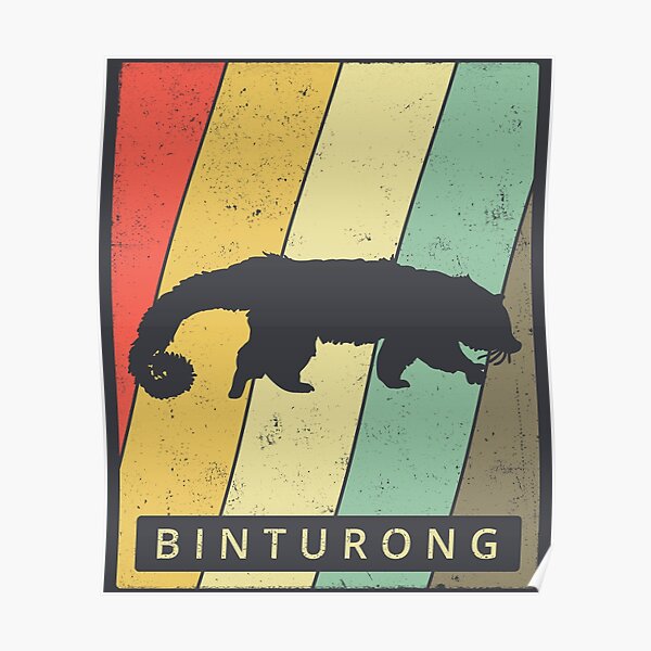 Detail Binturong Haustier Nomer 5