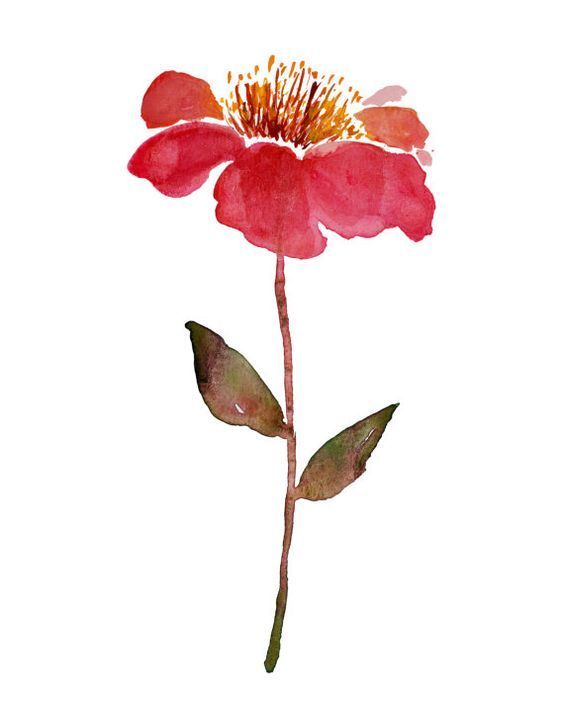 Flores Em Aquarela - KibrisPDR