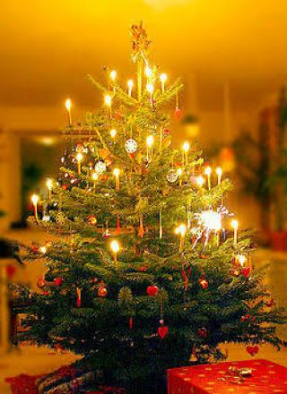 Detail Gambar Dp Natal Nomer 20