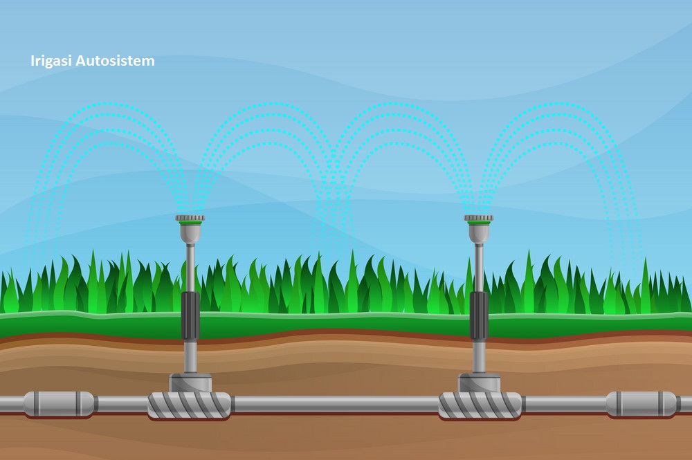 Detail Gambar Drainase Irigasi Nomer 6