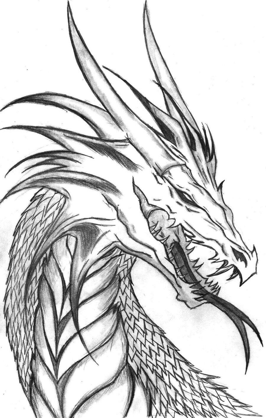 Detail Gambar Drawing Dragon Nomer 13