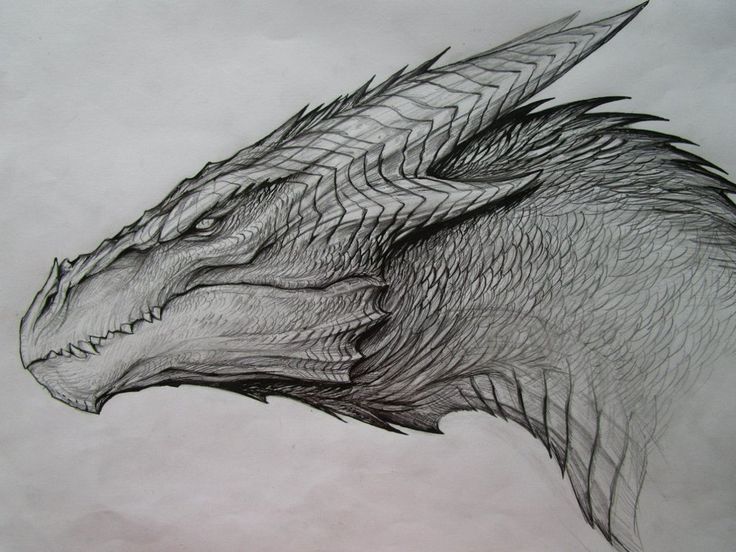 Detail Gambar Drawing Dragon Nomer 31