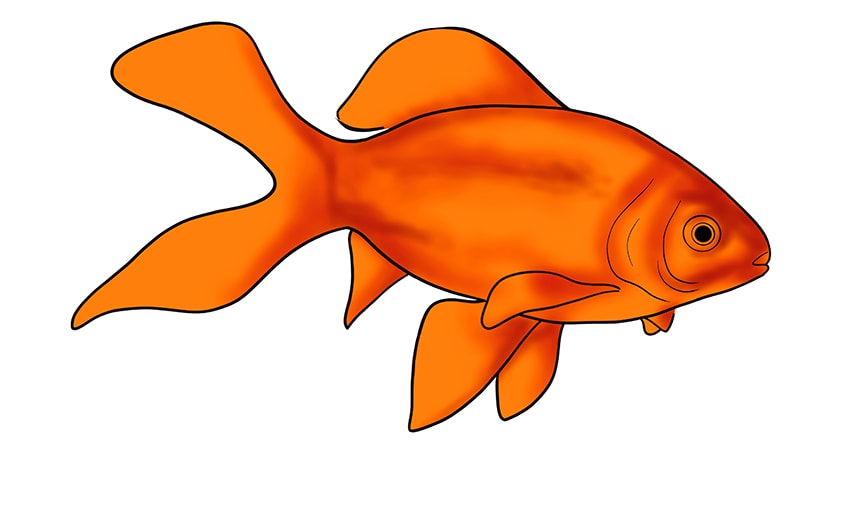 Goldfisch Malen - KibrisPDR