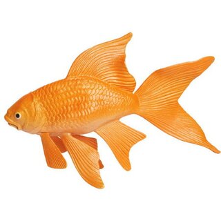 Detail Goldfisch Malen Nomer 13