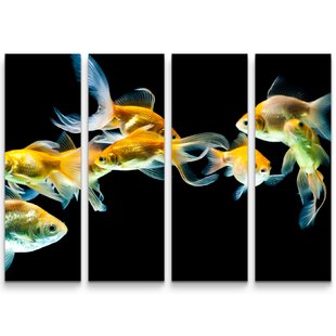 Detail Goldfisch Malen Nomer 21