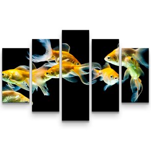 Detail Goldfisch Malen Nomer 24
