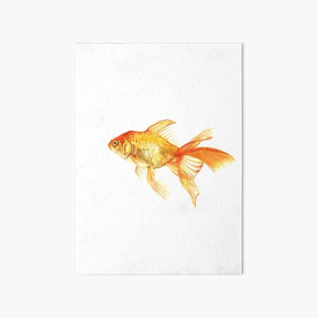 Detail Goldfisch Malen Nomer 6