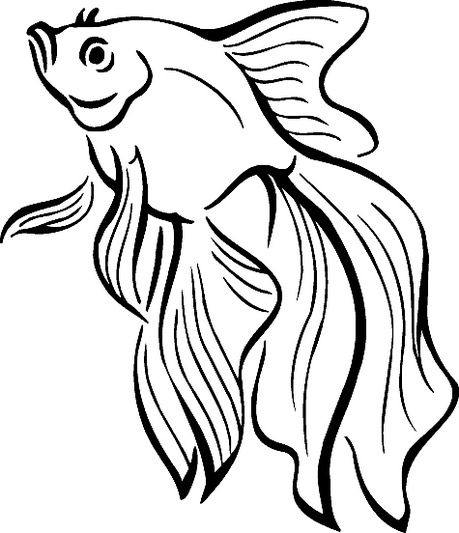 Detail Goldfisch Malen Nomer 7