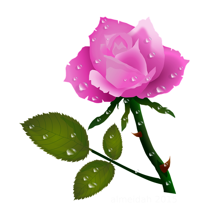 Detail Rosa Blumen Garten Nomer 20