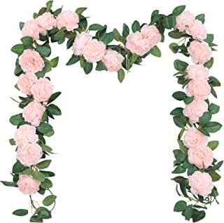 Detail Rosa Blumen Garten Nomer 6