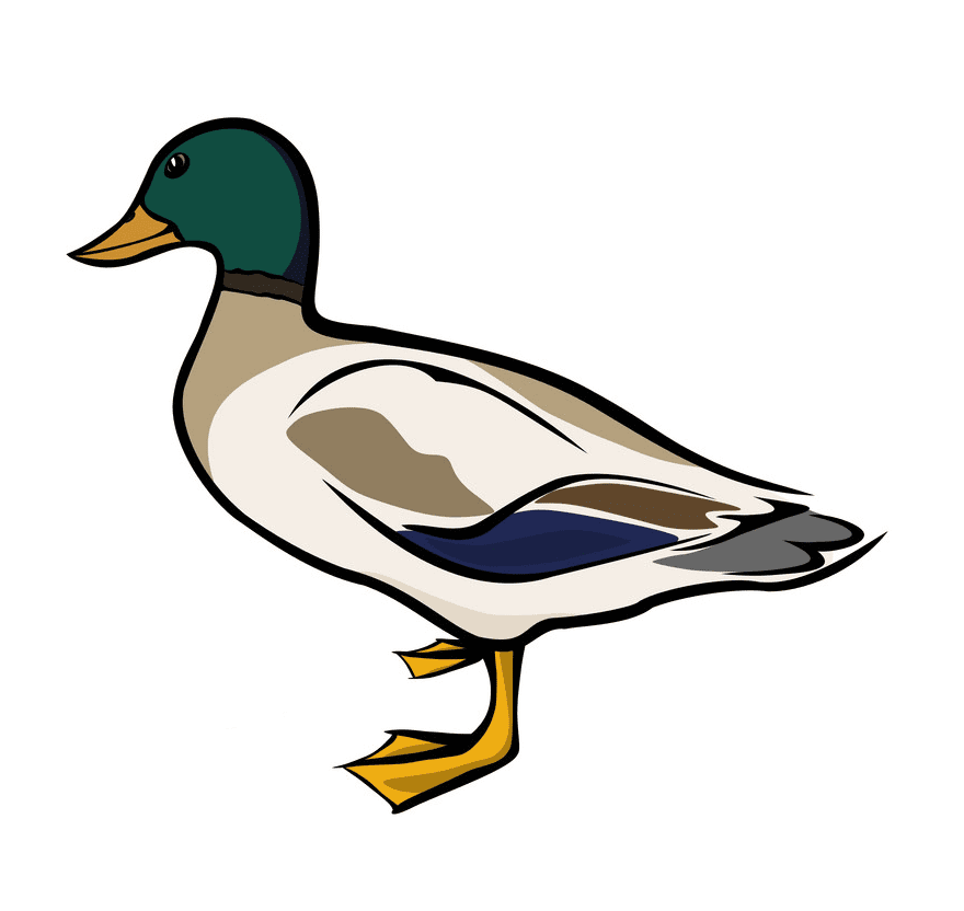 Detail Duck Png Nomer 21