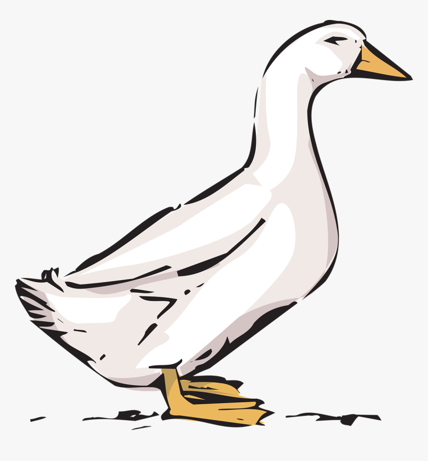 Detail Duck Png Nomer 22