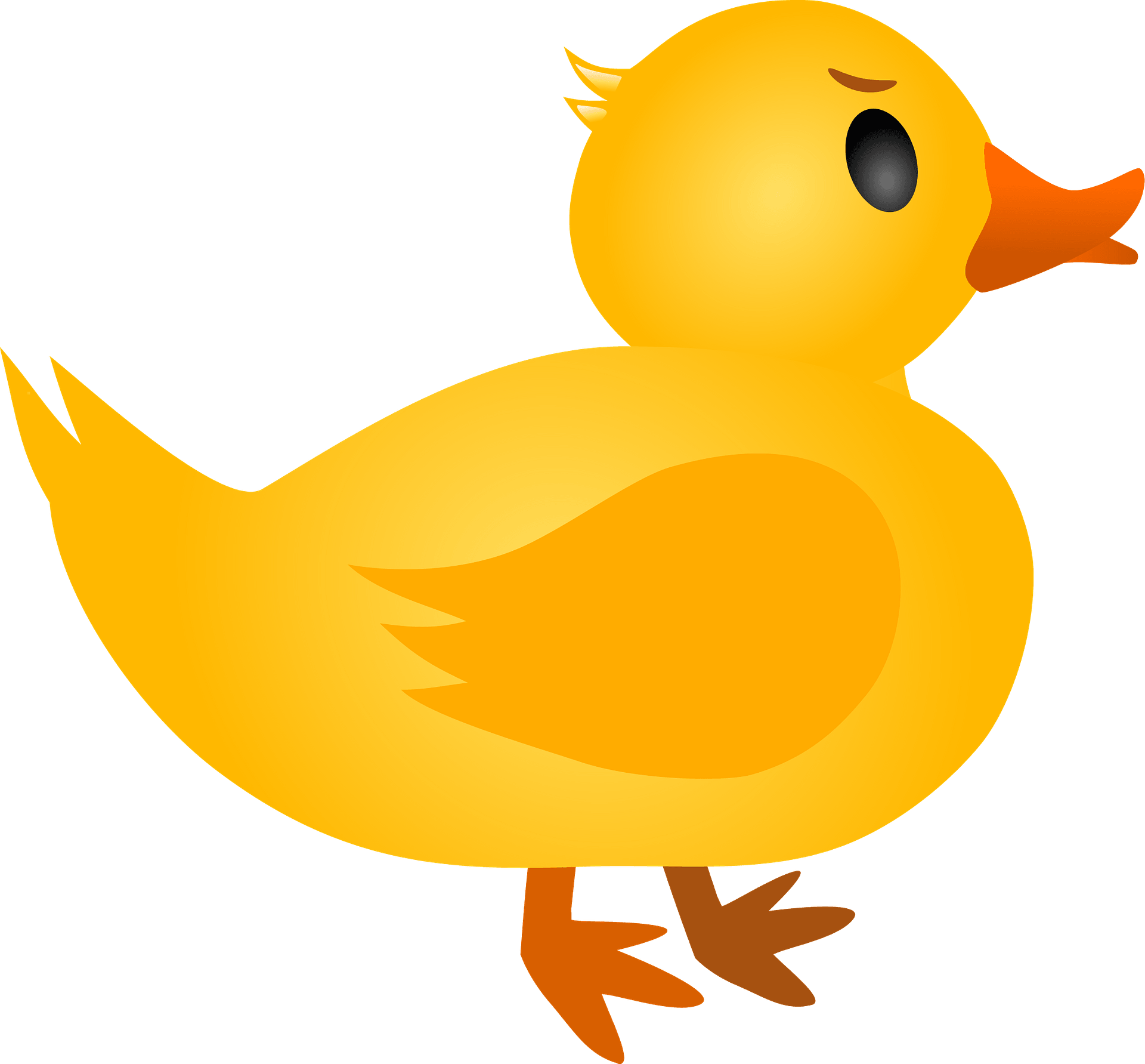 Detail Duck Png Nomer 5