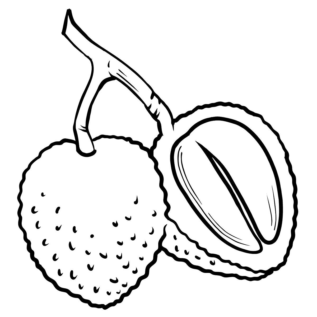 Detail Gambar Durian Hitam Putih Nomer 17