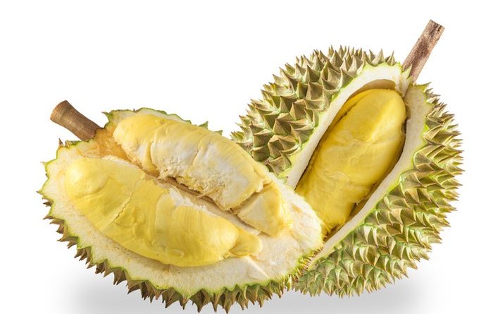 Detail Gambar Durian Lokal Nomer 9